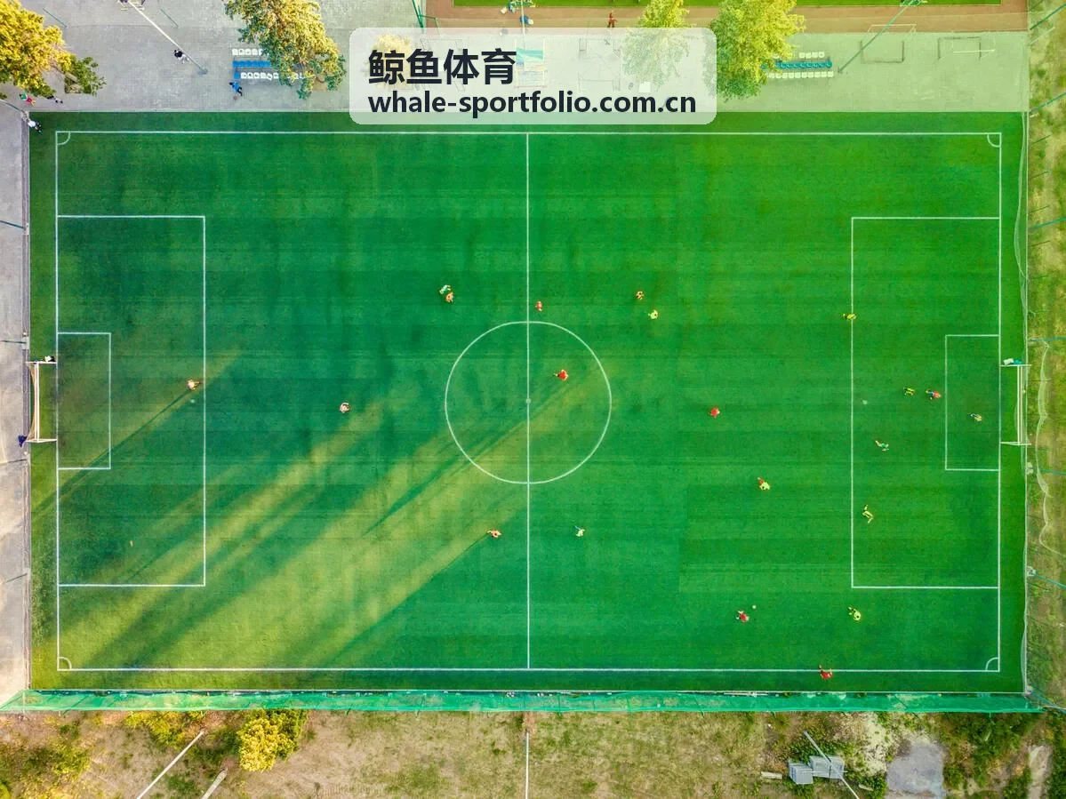 鲸鱼体育数据洞察 - 主场优势的数据表现与边界